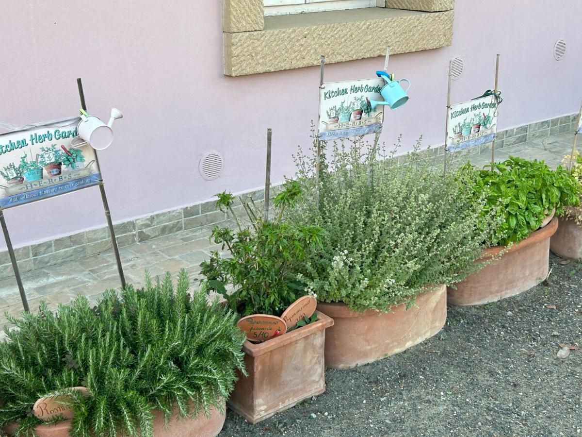 Aparthotel Fattoria Palazzeta - Pet & Family Friendly Cecina  Exterior foto